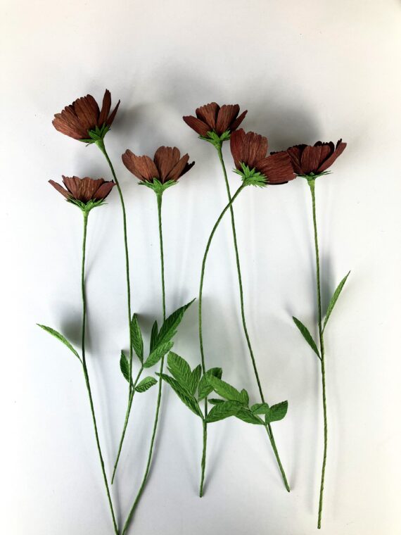 crepe paper chocolate cosmos